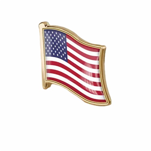 Single Flag Pins